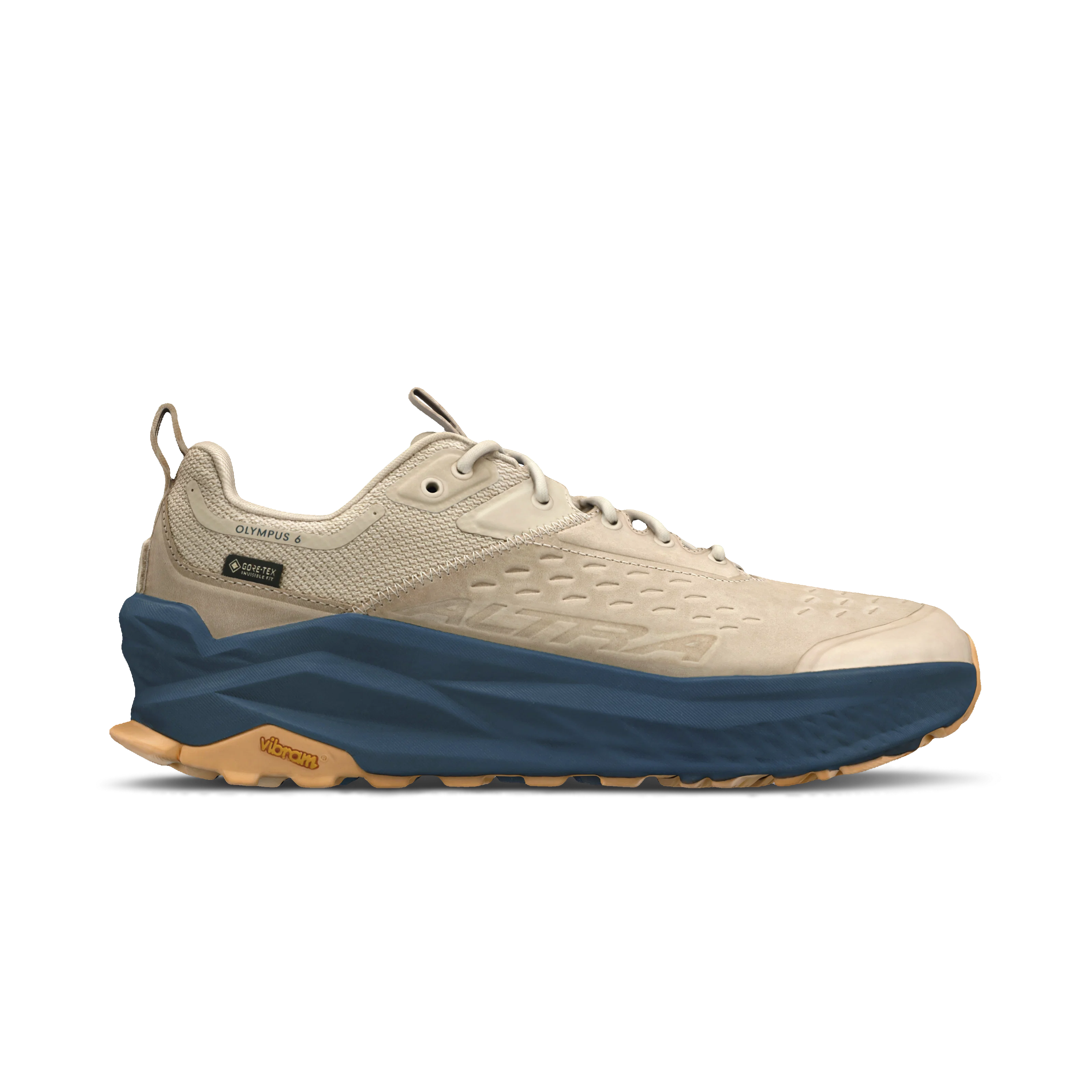 Men's Olympus 6 Hike Low GTX